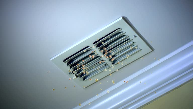 Ductwork Cleaning Services in Steelville, MO